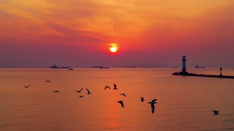 看，橘子海！吴淞口的灯塔与日出，专属于上海的浪漫四月