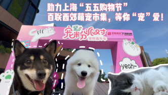 宠物组团，萌宠市集助力上海“五五购物节”