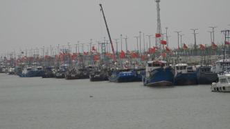 伏季休渔期开始，渔船回港渔网入库
