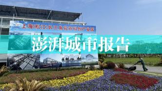 长三角花卉产业调研③｜上海花市：从生产基地转向花卉产业园