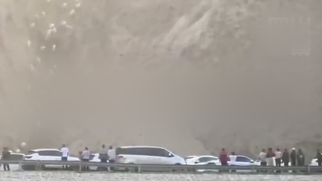 上百只羊奔徙下山，路人停車駐足觀看