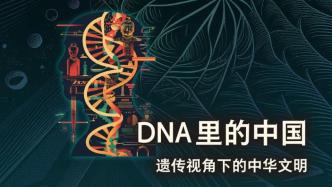 DNA里的中国：遗传视角下的中华文明