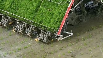 新疆温宿：机械化插秧助力8万余亩水稻插秧“加速度”