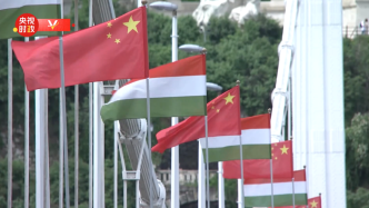 视频丨布达佩斯街头中匈两国国旗迎风飘扬