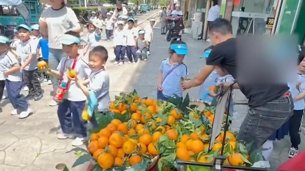 一人一个免费拿！幼儿园小朋友参观水果店，老板豪气地送沃柑