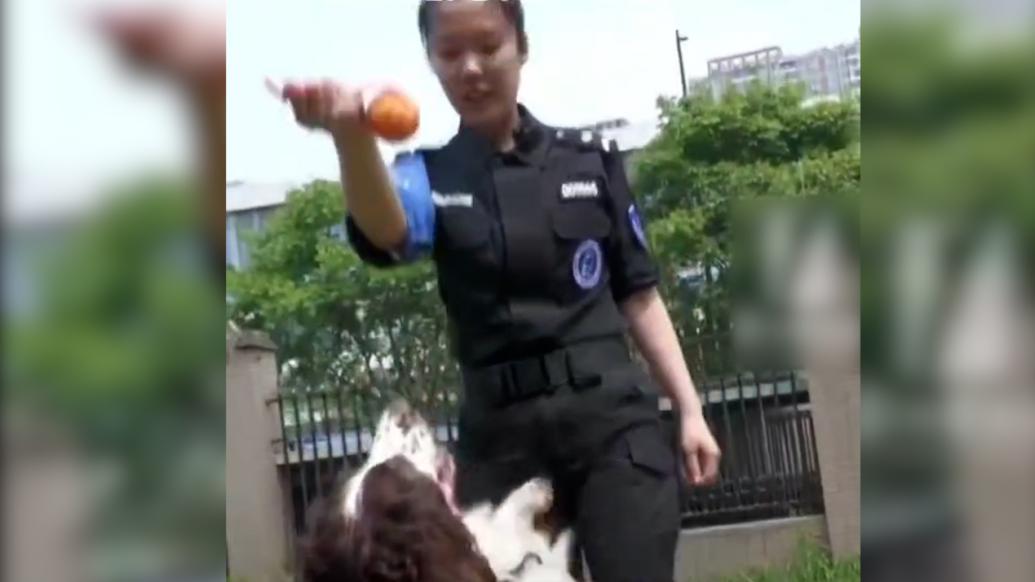 杭州姑娘当上警犬训导员：只报考了这一个岗位，每天上班都很开心