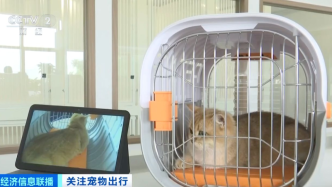 猫狗分区、独立候机，全国首家宠物候机厅在深圳机场启用