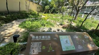 小区“边角料”变废为宝，上海这处生境花园让居民推窗见绿
