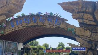 阜阳20只东北虎死亡，专家呼吁对民营动物园要有财政兜底机制