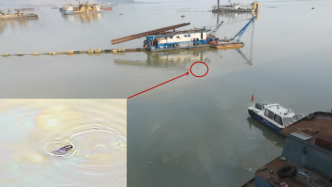 中央环保督察通报典型案例：暗访看到小江豚在油污中挣扎