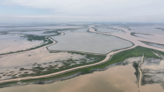 鄱阳湖保护修复不力等问题被通报，在外学习的市委书记第一时间提出整改要求