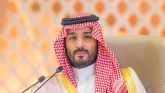 沙特王储兼首相会见沙利文，讨论加沙局势等问题