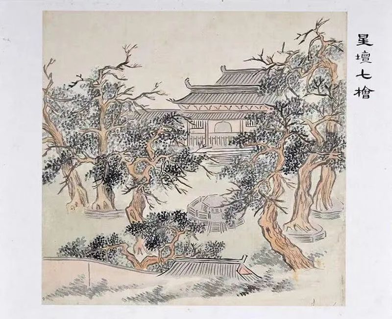 为古树树碑立传,吴文化博物馆聚焦吴中名木