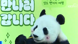 5月韩国赴华熊猫游套餐热销，跟团游预订量增长超600%