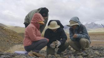 纪录片丨穿越两亿年：我们在青藏高原找化石