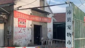 江苏沛县通报对问题宠物市场停业整顿，并依法立案调查