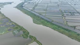 洪湖水质持续恶化水生态问题叠加被点名，专家：应坚持流域观点统筹治理