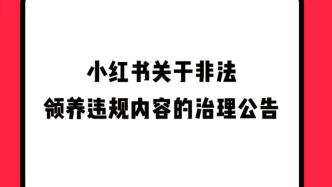 上官正义曝光平台上存在领养送养孩子，小红书：已对违规评论做下架处置