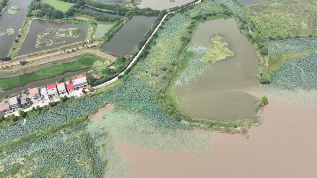 洪湖水质持续恶化，专家：水体富营养化是驱动因素，气候变化是重要推手