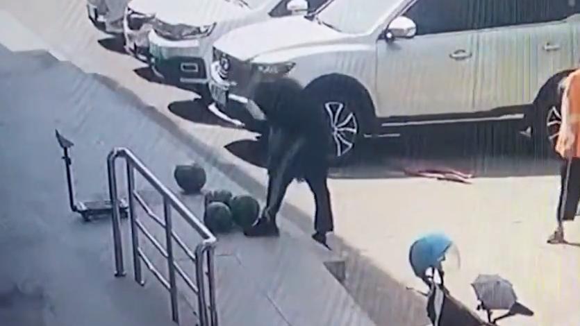 瓜贩盗窃手机被抓获，民警帮其卖掉1000多斤西瓜