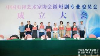 中国电视艺术家协会微短剧专业委员会成立