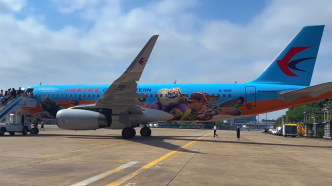 “疯狂动物城”主题彩绘飞机来了，将首飞上海至成都航线