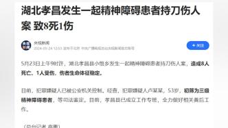 湖北孝昌發生一起精神障礙患者持刀傷人案，致8死1傷