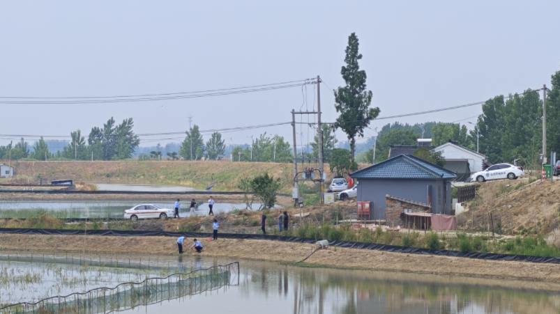 实探丨滁河南京浦口段被污染：岸边传鱼腥臭味，工作人员正打捞死鱼