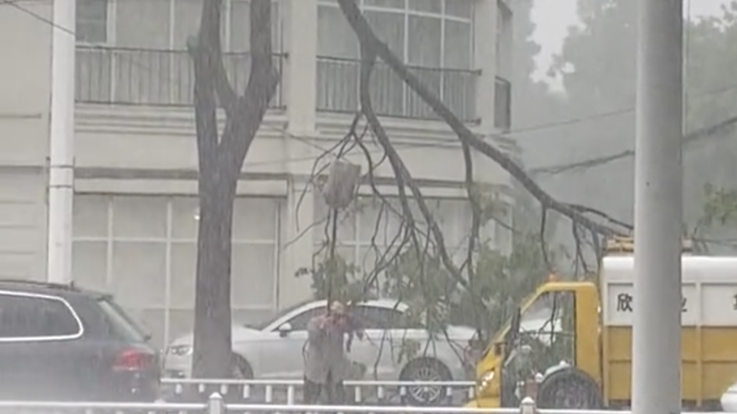 暴雨中的守护：大叔用铁锹撑电线，浑身湿透只为方便车辆通行