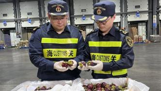 消费需求旺盛，前四月上海口岸干鲜瓜果及坚果进口同比增20%
