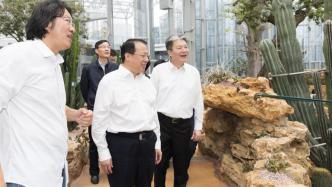 機場聯絡線、上海溫室花園……龔正市長調研市重大工程建設工作