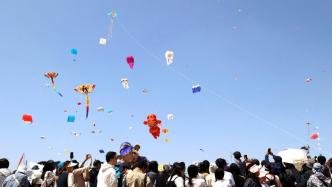 网友呼吁建风筝主题大型儿童乐园，潍坊：将认真研究论证
