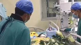 8岁女孩遭遇车祸脑死亡，父母决定捐献器官挽救5名儿童
