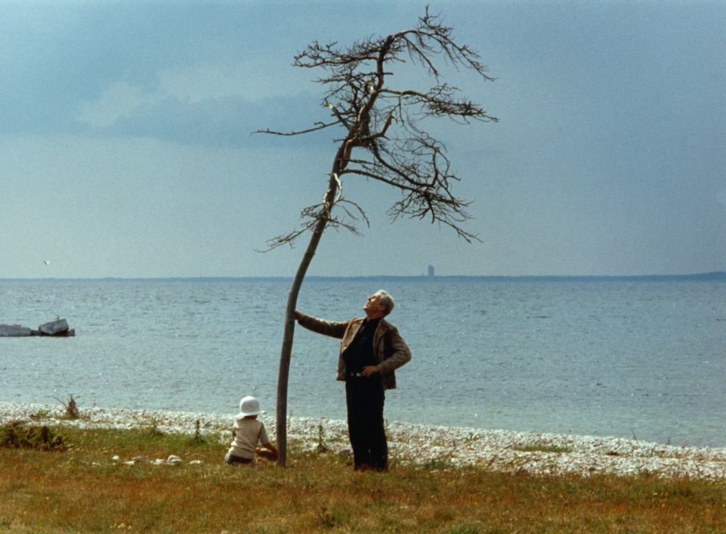 上海国际电影节|4k修复:塔可夫斯基与今敏的遗作