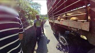運豬貨車輪胎炸胎，交警對其處罰后調消防給豬仔降溫