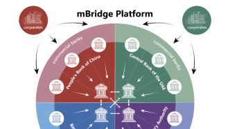 多邊央行數字貨幣橋項目宣布進入最小可行化產品階段