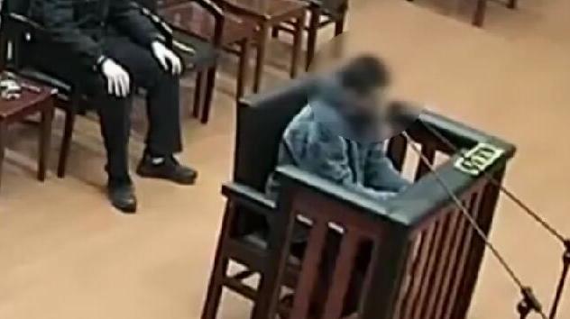 男子佯装租客看房抢劫房主获刑9年