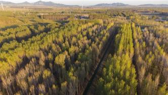 “三北”工程攻堅戰實現良好開局，完成造林種草4000萬畝