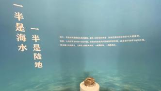 建在上海唯一的沙冈遗址上，这座展示馆今天开馆