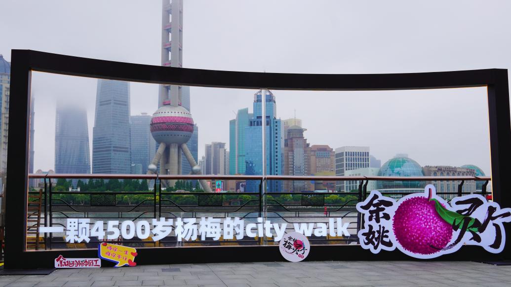 一颗杨梅的citywalk：余姚“梅灵个”市集打卡上海北外滩