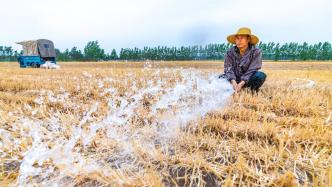 新闻1＋1丨持续高温下，多地旱情如何应对？