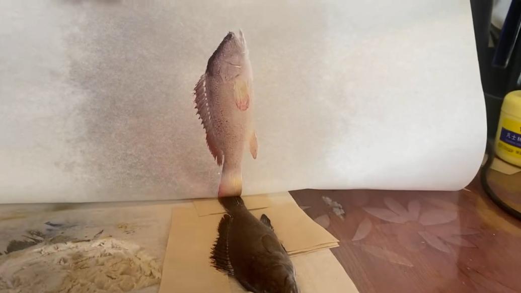 堪比照相机，非遗传承人用鱼拓技法让鱼儿“游”上纸张