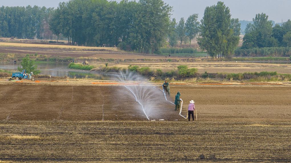 专访抗旱减灾专家：高温重旱下，河南如何“找水”“用水”？