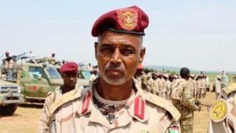 苏丹武装部队称在法希尔市打死快速支援部队指挥官