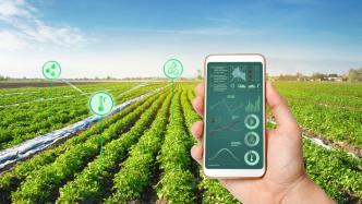 气候变化挑战粮食安全，“AI+农业”实践正在进行