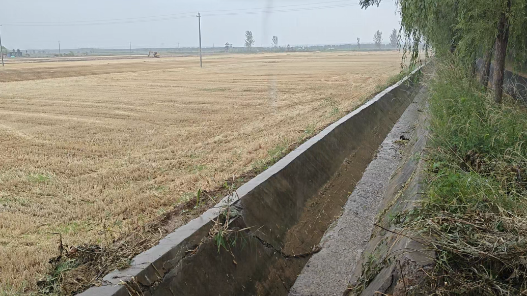 久旱逢甘霖！河南主粮区迎来降雨