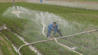 水利部：华北黄淮地区耕地大多具备灌溉条件，蓄水总体较好