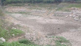 山东济南部分地区出现旱情，村民打深水井灌溉庄稼