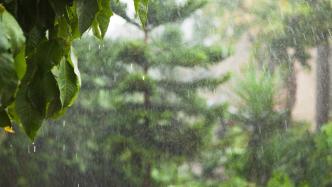 主雨带大挪移！气象专家紧急集结，探讨极端天气如何应对