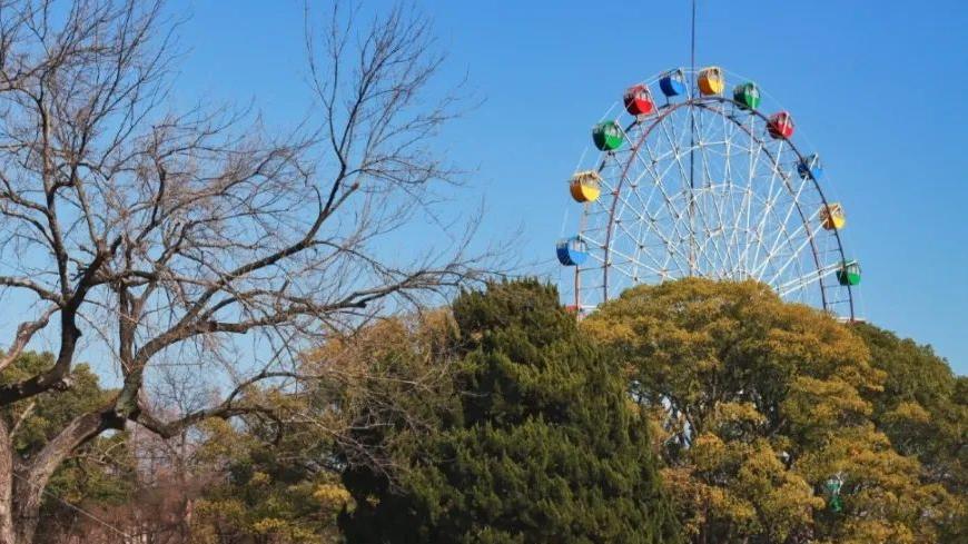 上海動物園摩天輪即將拆除，網友不舍：滿滿的回憶